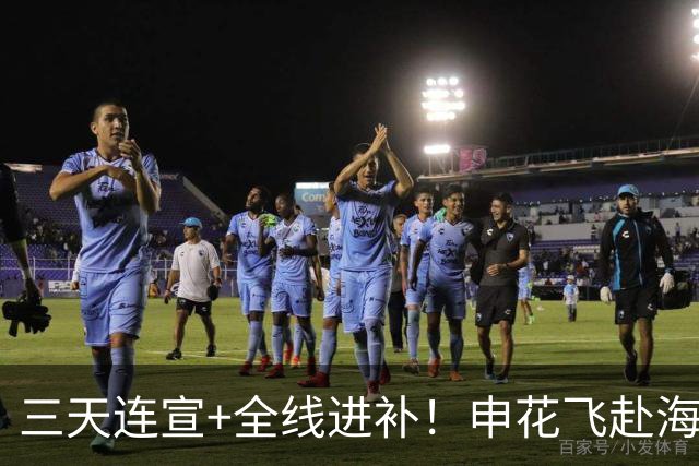 三天连宣+全线进补！申花飞赴海口启动新赛季